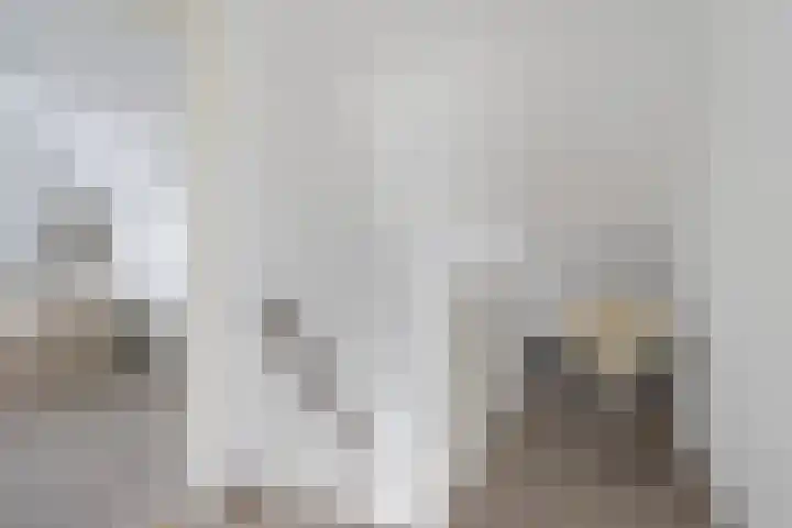 Rietschar 35 Sneek thumbnail 22