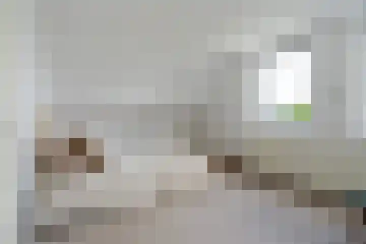 Rietschar 35 Sneek thumbnail 23