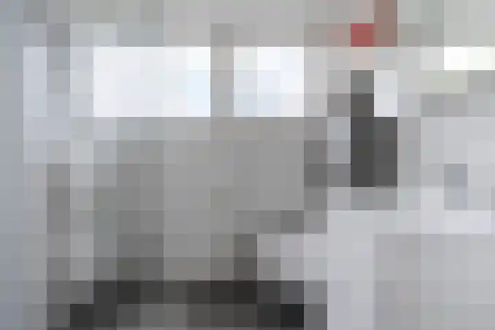 Rietschar 35 Sneek thumbnail 25