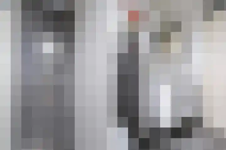 Rietschar 35 Sneek thumbnail 26