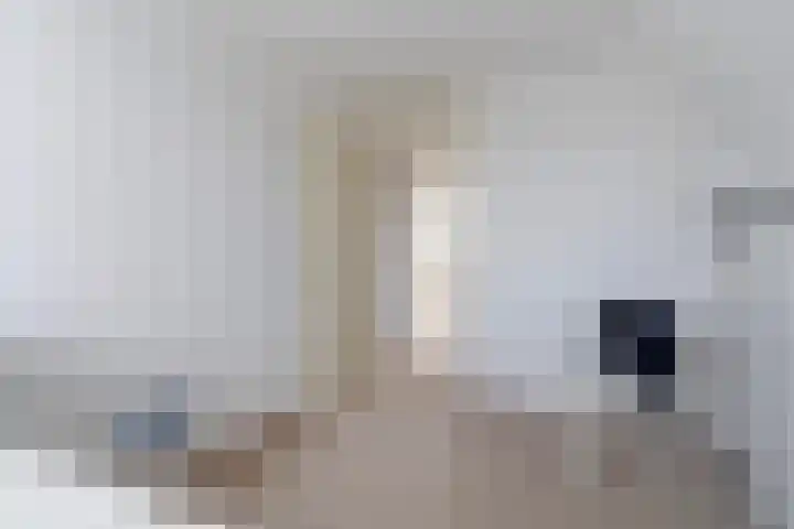 Rietschar 35 Sneek thumbnail 29