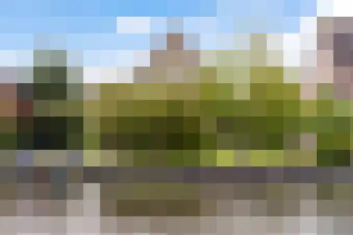 Rietschar 35 Sneek thumbnail 31
