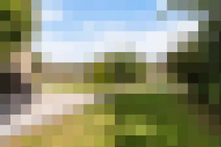 Rietschar 35 Sneek thumbnail 33