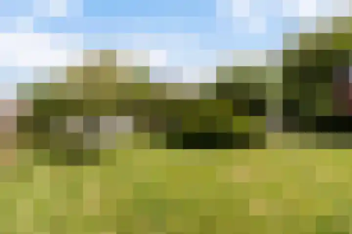 Rietschar 35 Sneek thumbnail 34