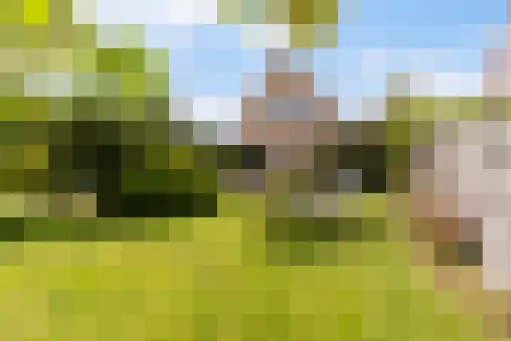 Rietschar 35 Sneek thumbnail 35