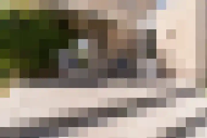 Rietschar 35 Sneek thumbnail 36