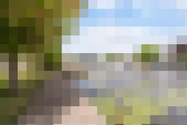 Rietschar 35 Sneek thumbnail 38