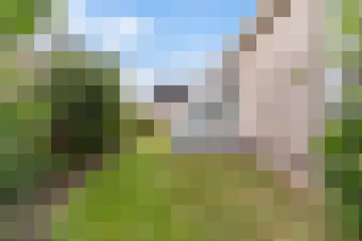 Rietschar 35 Sneek thumbnail 41