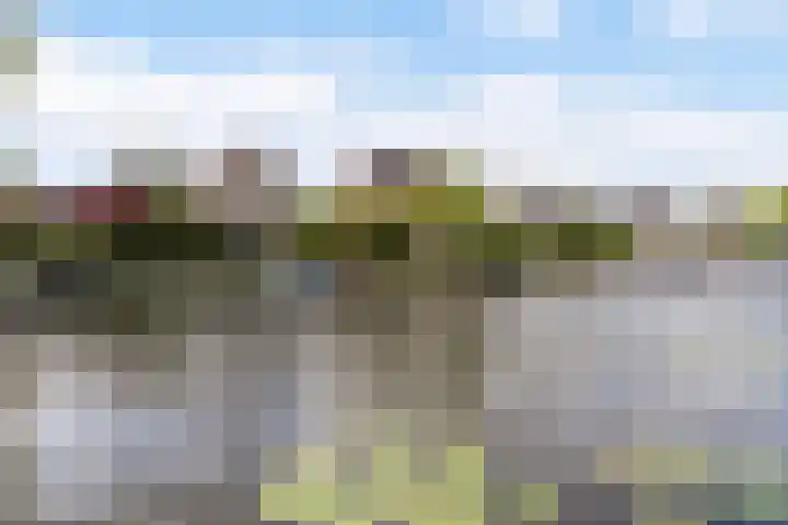 Rietschar 35 Sneek thumbnail 42
