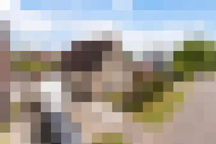 Rietschar 35 Sneek thumbnail 44