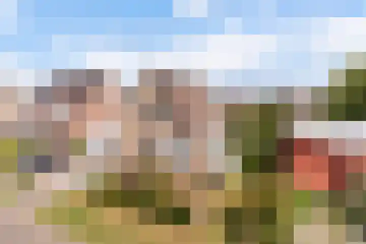 Rietschar 35 Sneek thumbnail 45