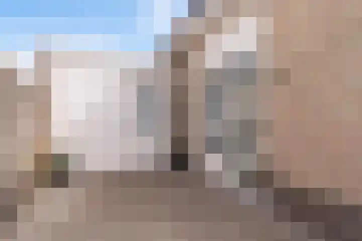Rietschar 35 Sneek thumbnail 46