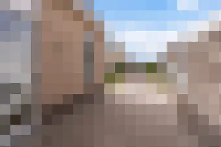 Rietschar 35 Sneek thumbnail 47