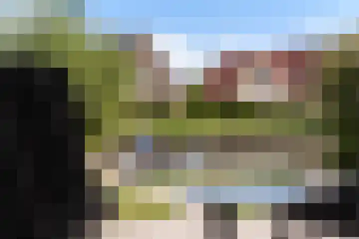 Rietschar 35 Sneek thumbnail 49