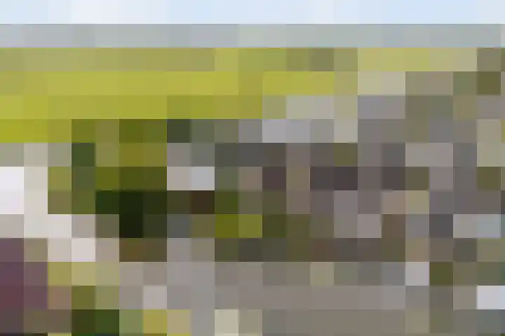 Rietschar 35 Sneek thumbnail 51