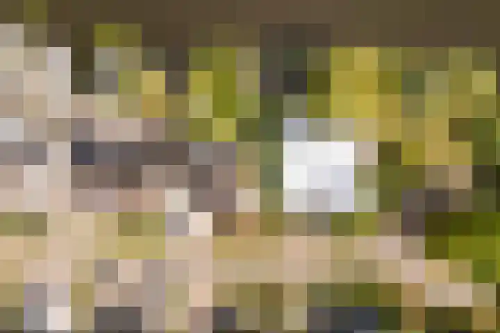 Rietschar 35 Sneek thumbnail 52