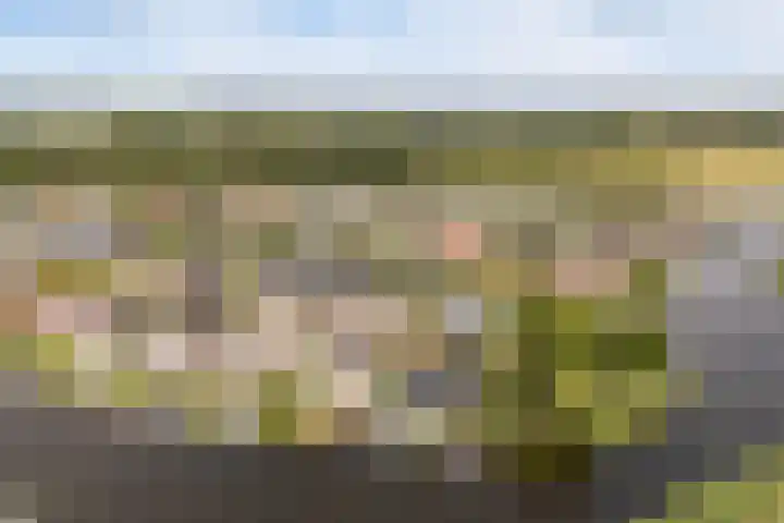 Rietschar 35 Sneek thumbnail 53