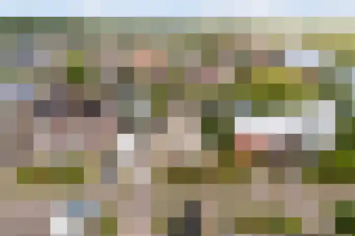 Rietschar 35 Sneek thumbnail 55