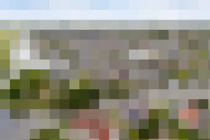 Rietschar 35 Sneek thumbnail 56