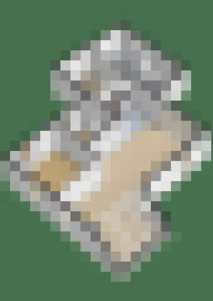 Rietschar 35 Sneek thumbnail 60