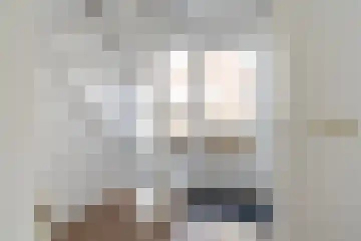 Rietschar 35 Sneek thumbnail 7