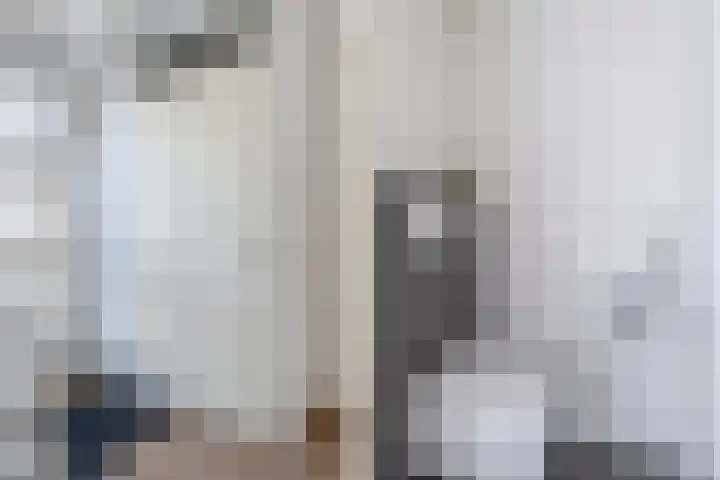 Rietschar 35 Sneek thumbnail 8