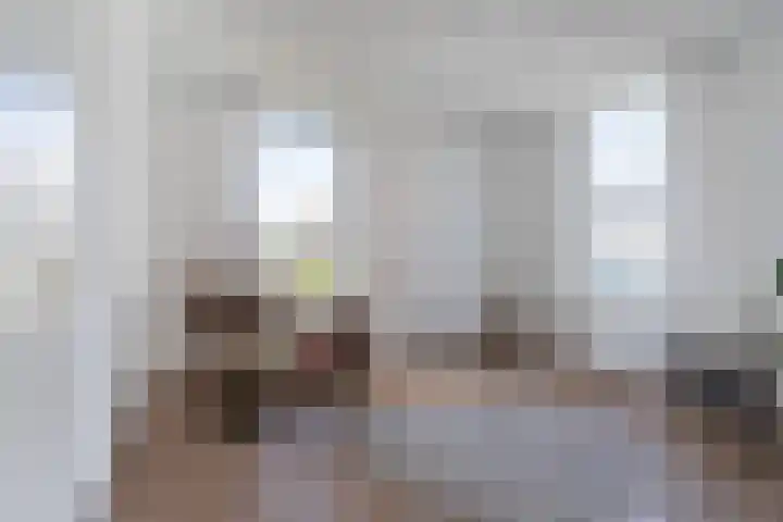 Rietschar 35 Sneek thumbnail 9