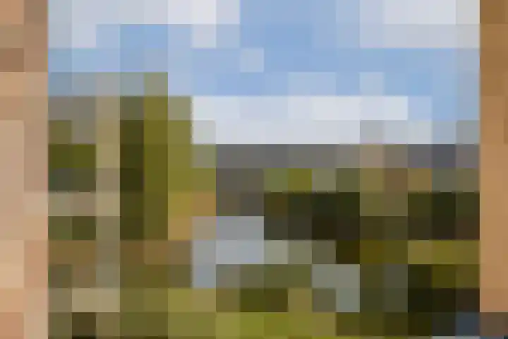 Rietschelftlaan 40 Sassenheim thumbnail 13
