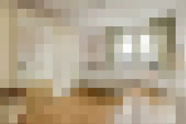 Rietschelftlaan 40 Sassenheim thumbnail 17