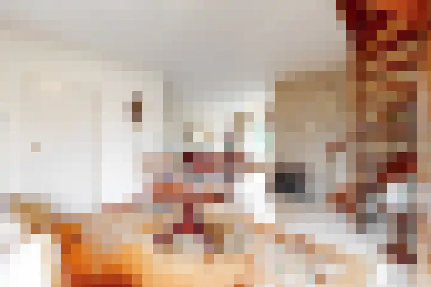 Rietschoot 114 Oostzaan thumbnail 10