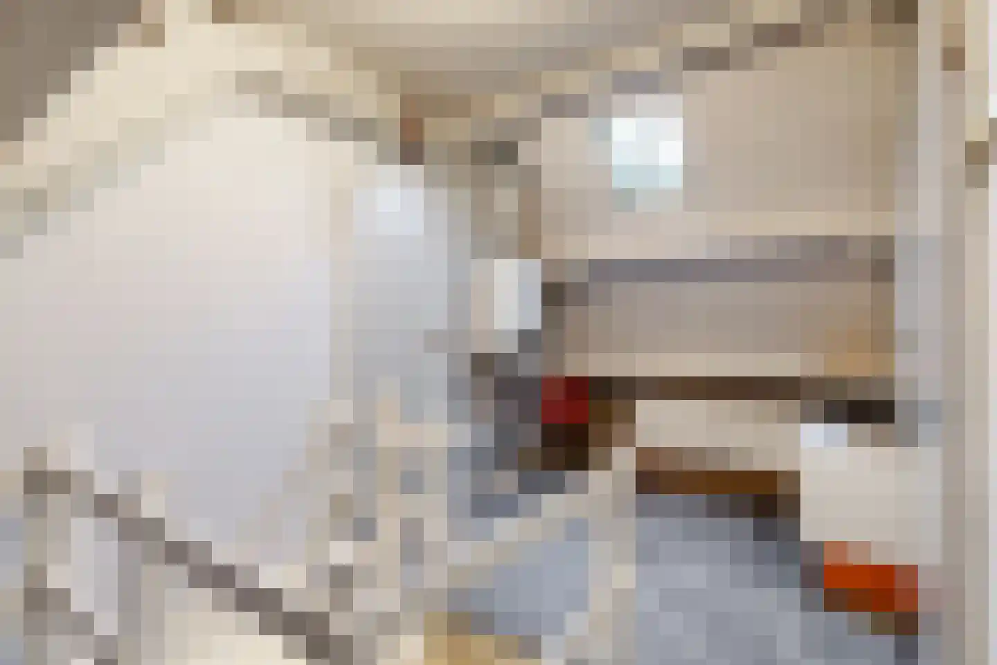 Rietschoot 114 Oostzaan thumbnail 22