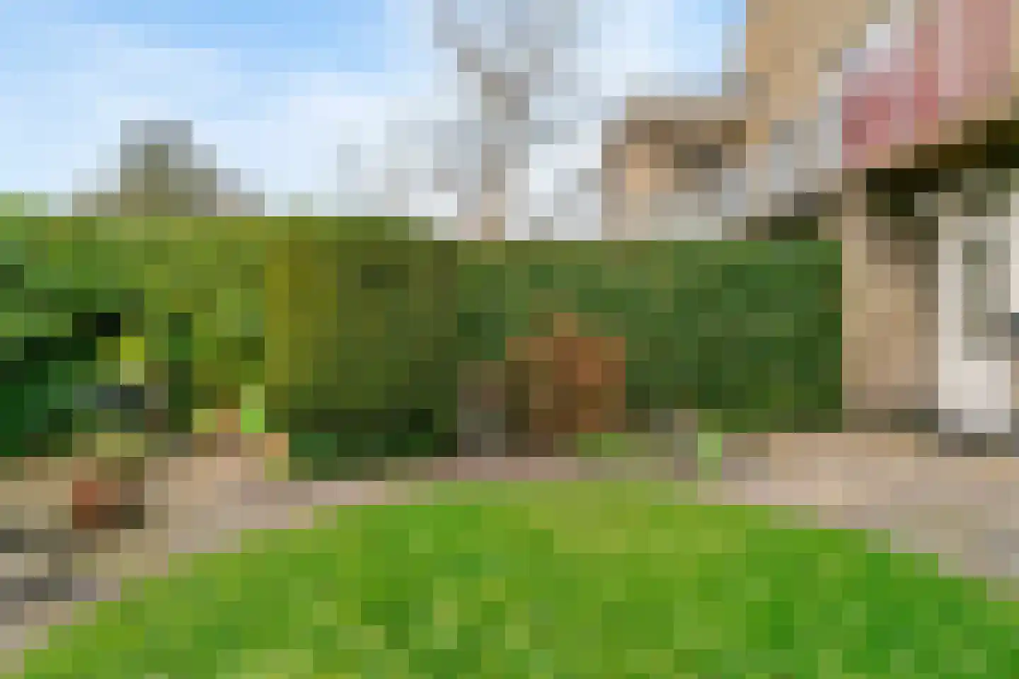 Rietschoot 114 Oostzaan thumbnail 29