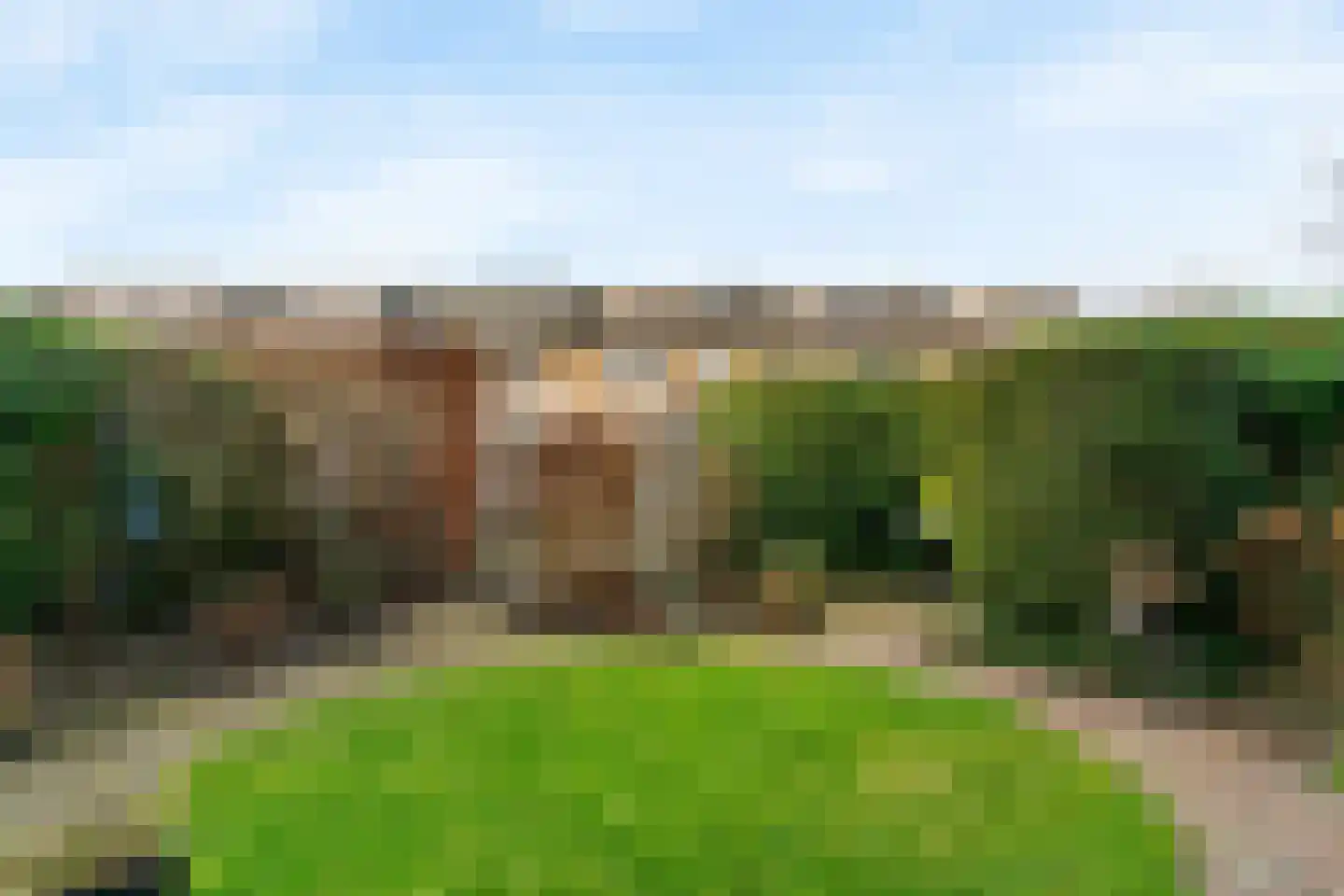 Rietschoot 114 Oostzaan thumbnail 32