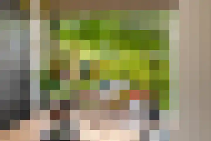 Rietschoot 174 Oostzaan thumbnail 17