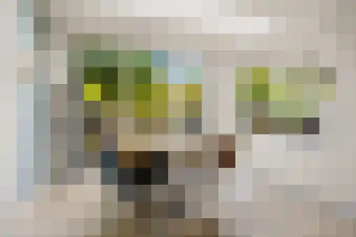 Rietschoot 174 Oostzaan thumbnail 20