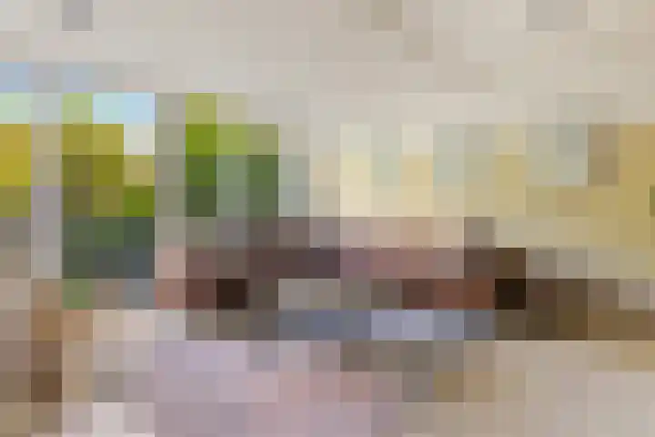 Rietschoot 174 Oostzaan thumbnail 21