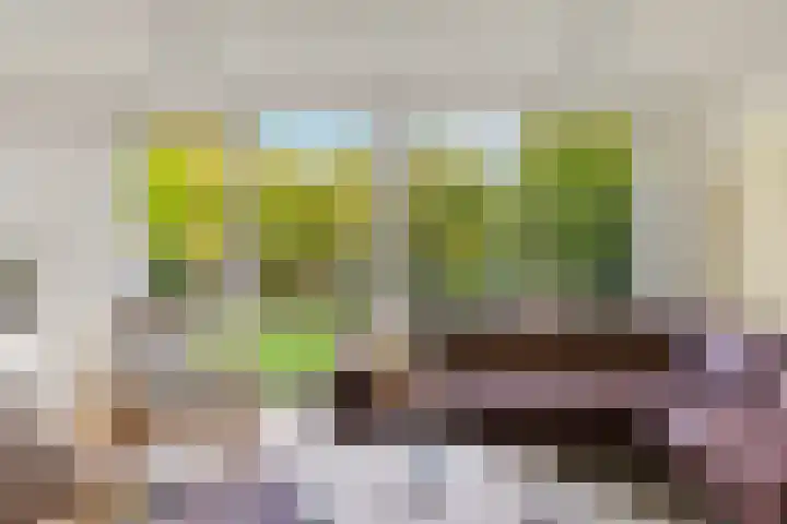 Rietschoot 174 Oostzaan thumbnail 23