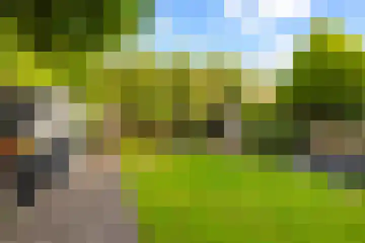 Rietschoot 174 Oostzaan thumbnail 47