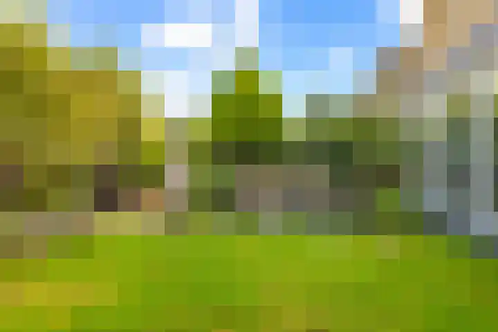 Rietschoot 174 Oostzaan thumbnail 48