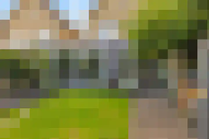 Rietschoot 174 Oostzaan thumbnail 49