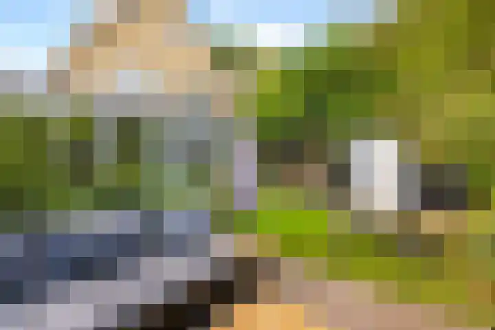 Rietschoot 174 Oostzaan thumbnail 51