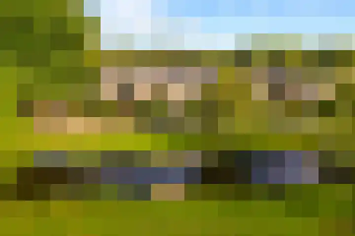 Rietschoot 174 Oostzaan thumbnail 56