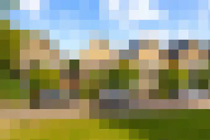 Rietschoot 174 Oostzaan thumbnail 57