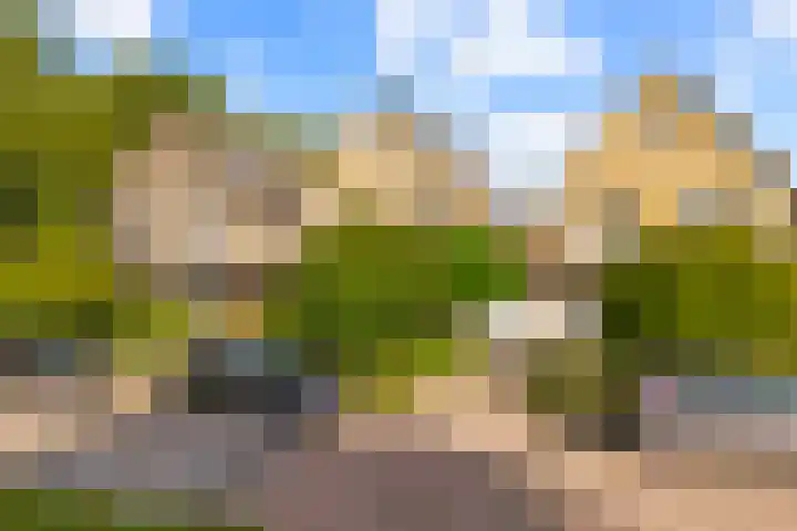 Rietschoot 174 Oostzaan thumbnail 58