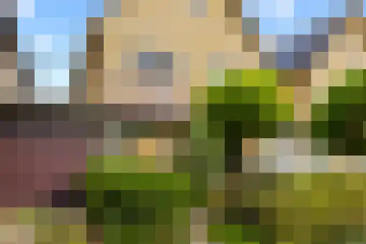 Rietschoot 174 Oostzaan thumbnail 6