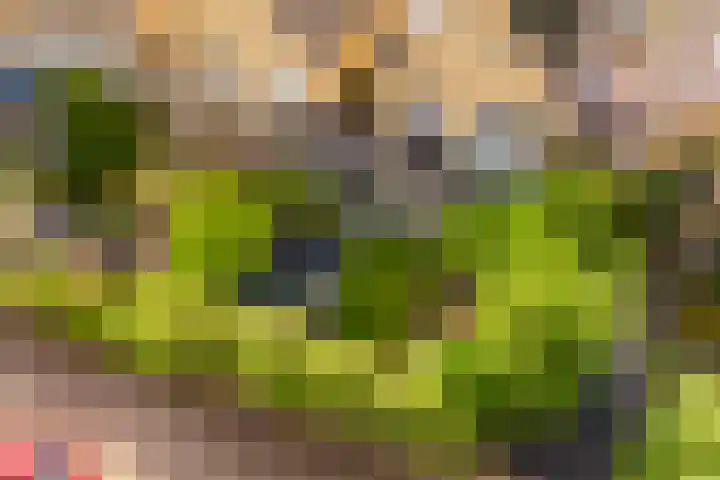 Rietschoot 174 Oostzaan thumbnail 61
