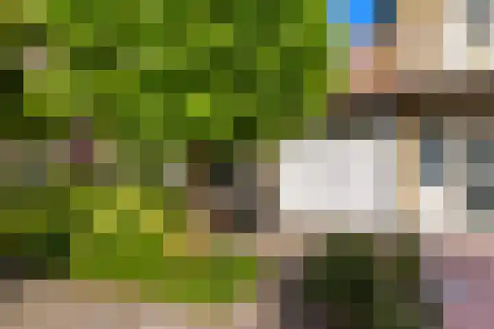 Rietschoot 174 Oostzaan thumbnail 8