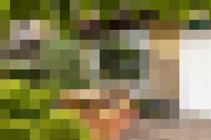 Rietschoot 174 Oostzaan thumbnail 9