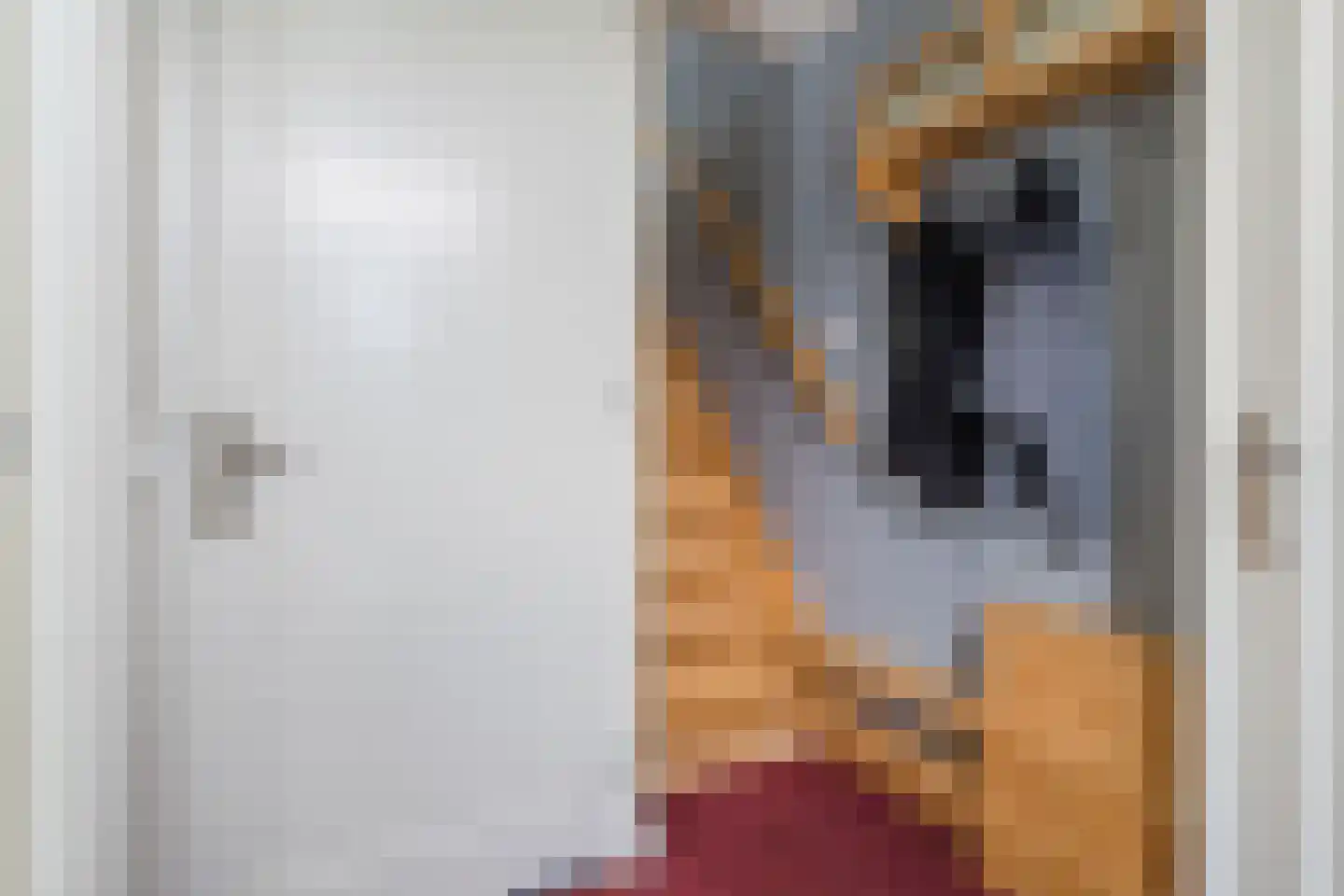 Rietschoot 187 Oostzaan thumbnail 12