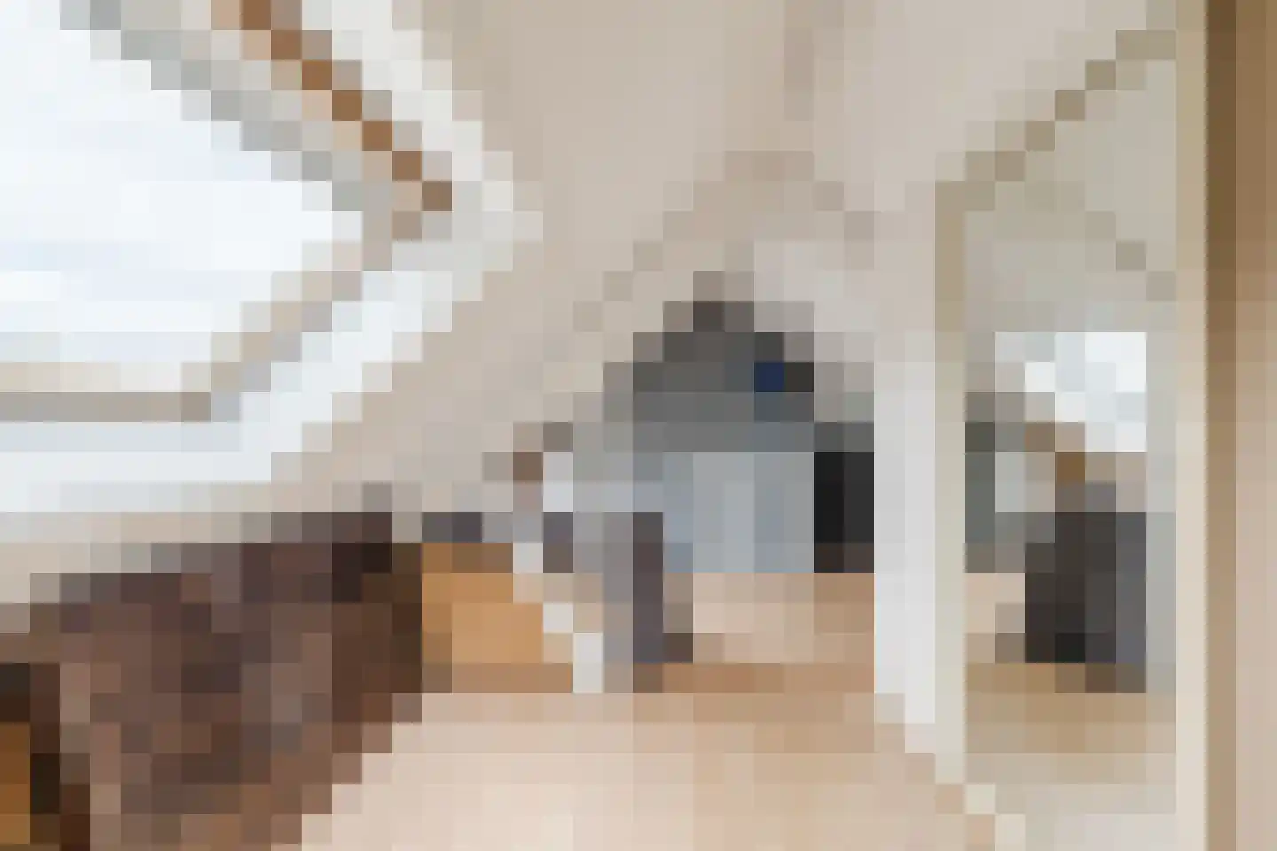 Rietschoot 187 Oostzaan thumbnail 32
